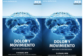 Foto Curso Dolor y Movimiento MADRID